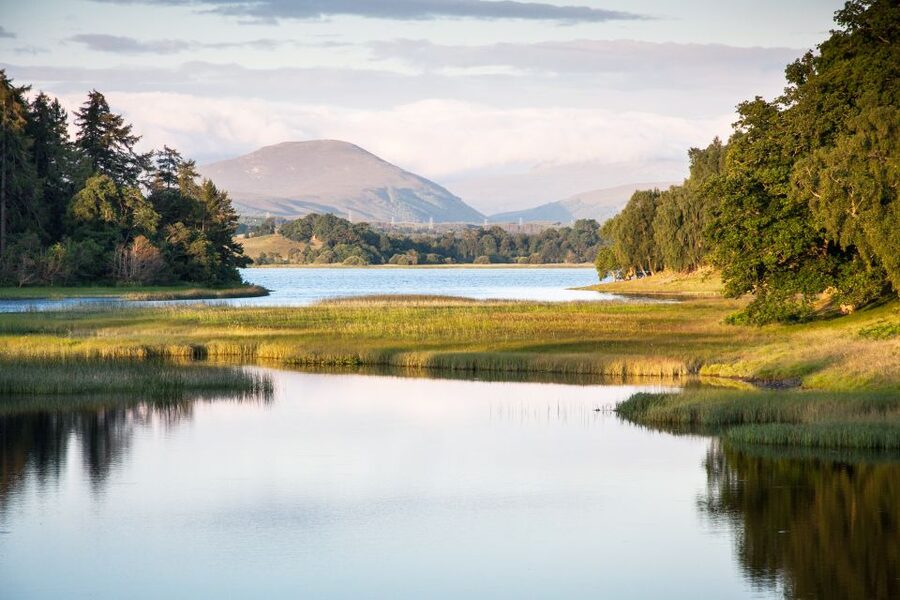 From Inverness: Cairngorms National Park and Whisky Tour - Glenmore Forest Park and Loch Morlich, walk if you want, chill if you don’t