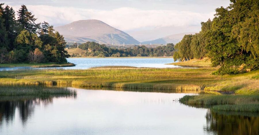 From Inverness: Cairngorms National Park and Whisky Tour - Carrbridge and the Old Packhorse Bridge break