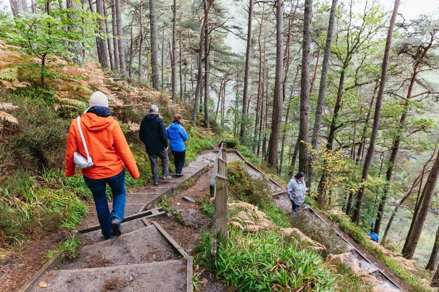 From Inverness: Loch Ness Guided Day Trip - From Inverness to the Great Glen: a smooth start that sets the tone