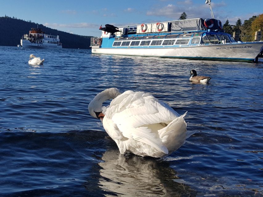 From Liverpool: Lake District Sightseeing Adventure Day Trip - The Ride Itself: Narrow Roads, Expert Driving, and Part Narration