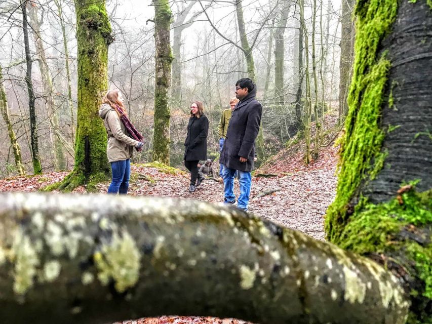 From Liverpool: Lake District Sightseeing Adventure Day Trip - Langdales and Little Switzerland: Pass By, Then Blea Tarn Walk