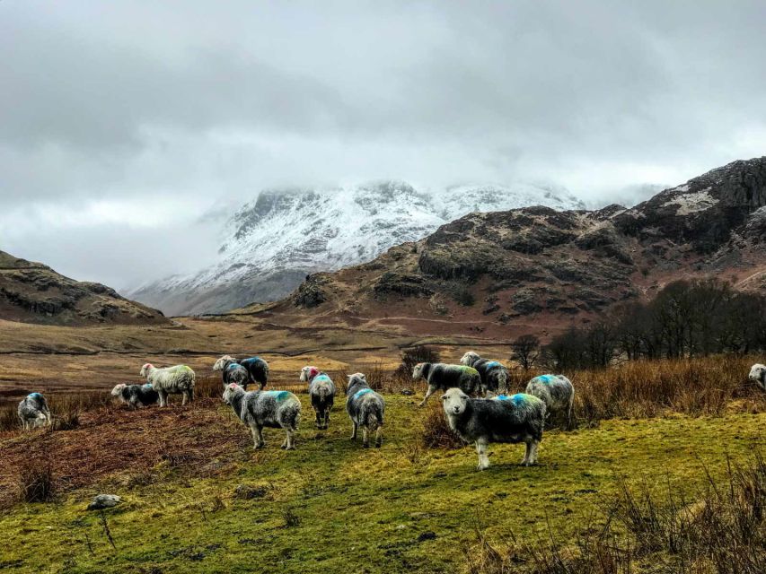 From Liverpool: Lake District Sightseeing Adventure Day Trip - Price and Value: Is $79 Worth It?