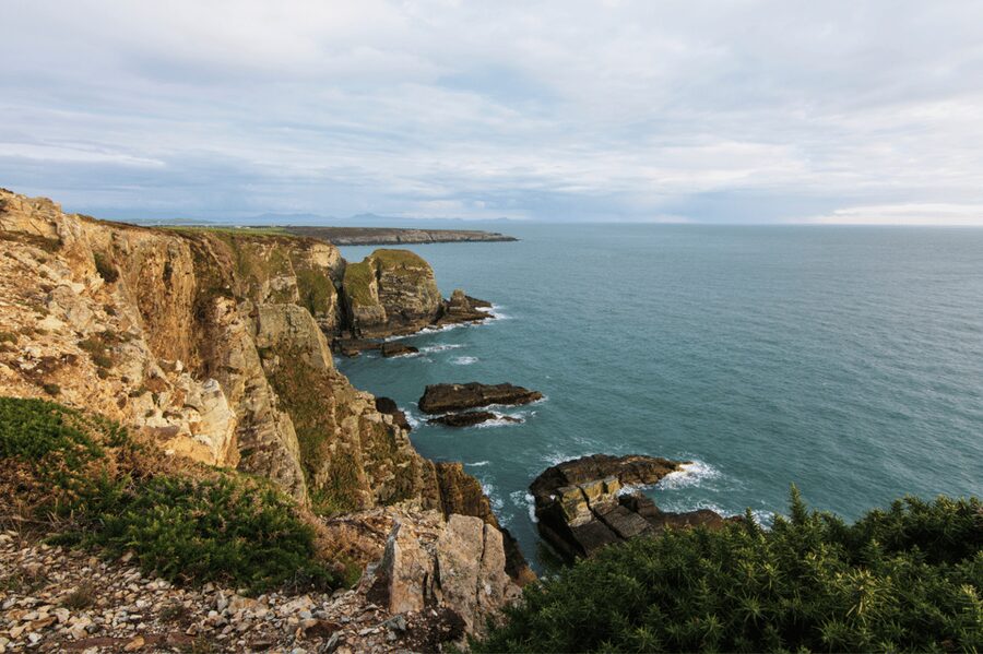 From Liverpool: North Wales and Caernarfon Castle Tour - Conwy town time, walls, sea air, and an easy stroll