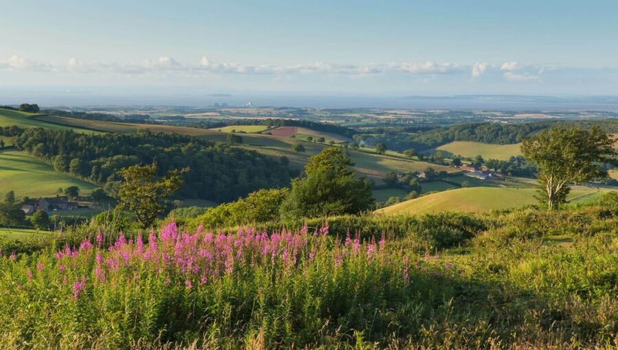 From London: Canterbury & White Cliffs of Dover Tour - Deal at the seaside: lunch, Roman stories, and sea-breeze time