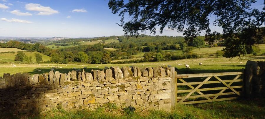 From London: Full-Day Cotswolds Small-Group Tour - The Guide Factor: How Different Styles Make the Drive and Stops Click