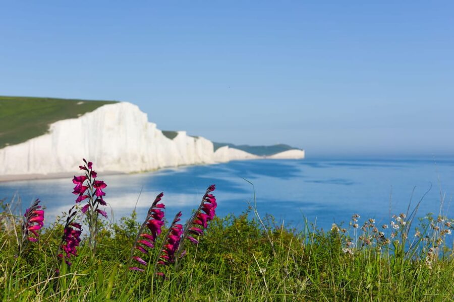 From London: Seven Sisters and Brighton Full-Day Tour - The 65-minute train ride, scenic and actually useful