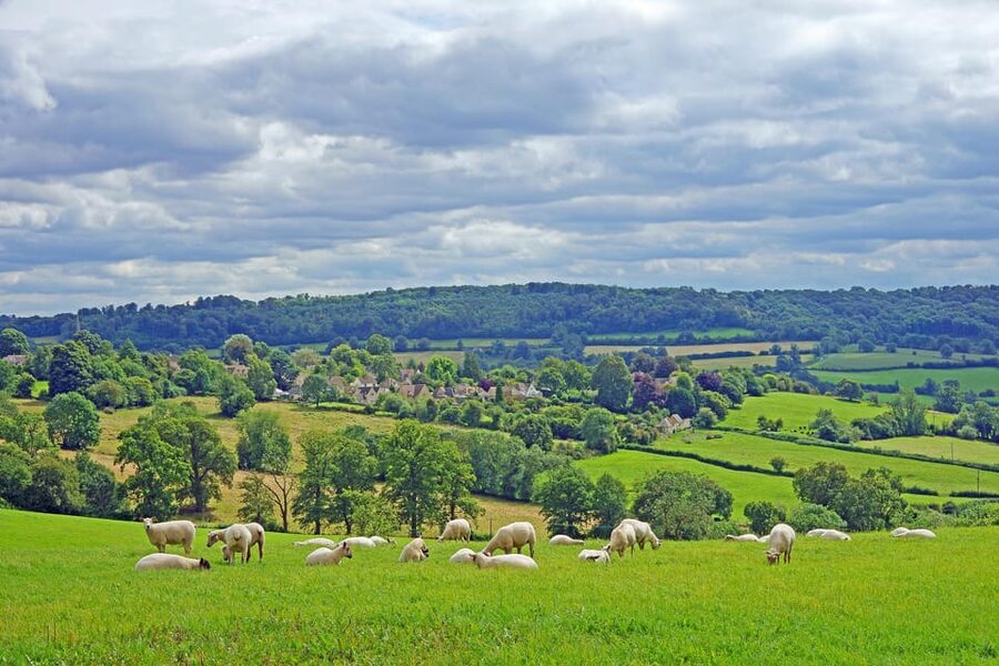 From London: Small Group Stonehenge, Bath & Cotswolds Tour - Bath with a Royal Crescent photo stop and an optional walking tour