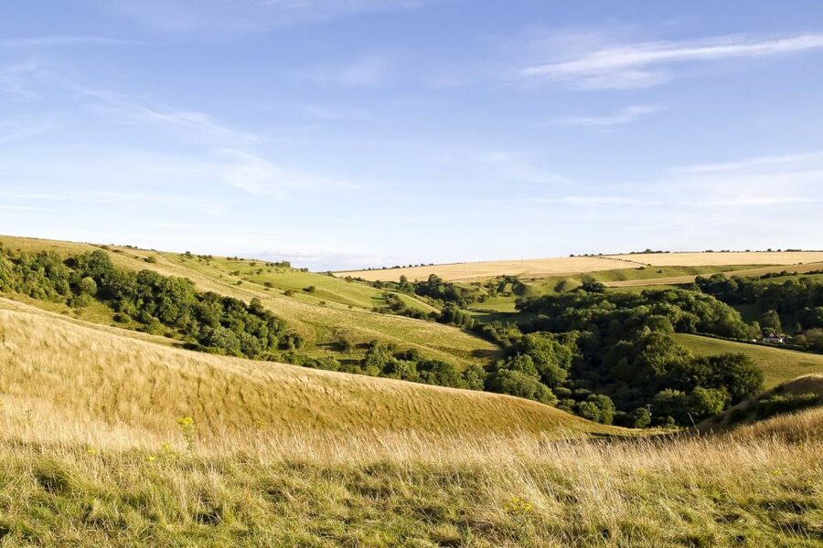 From London: Stonehenge and Bath Day Trip with Ticket - Roman Baths: what you can see, and what costs extra