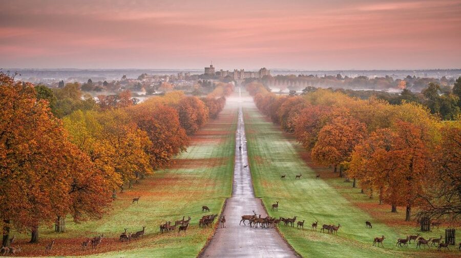 From London: Stonehenge, Windsor and Salisbury Guided Tour - Price and Value: Why $160.29 Can Make Sense for This Specific Day