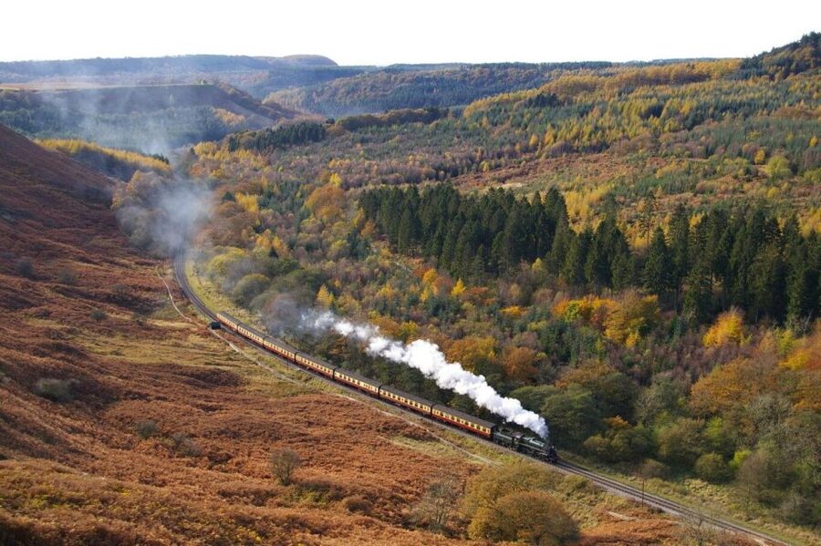 From London: The North York Moors with Steam Train to Whitby - Key highlights that make this day trip special