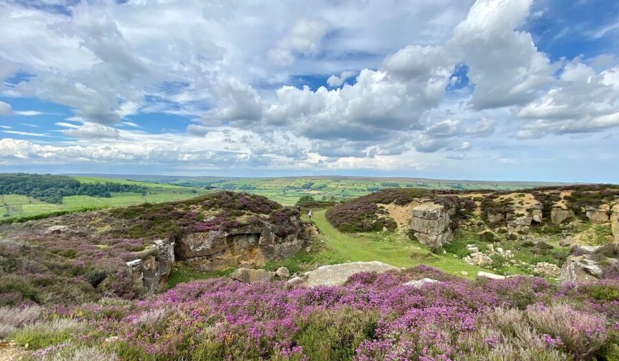 From London: The North York Moors with Steam Train to Whitby - Into Heartbeat Country: Wass Bank, Goathland, and film-station magic