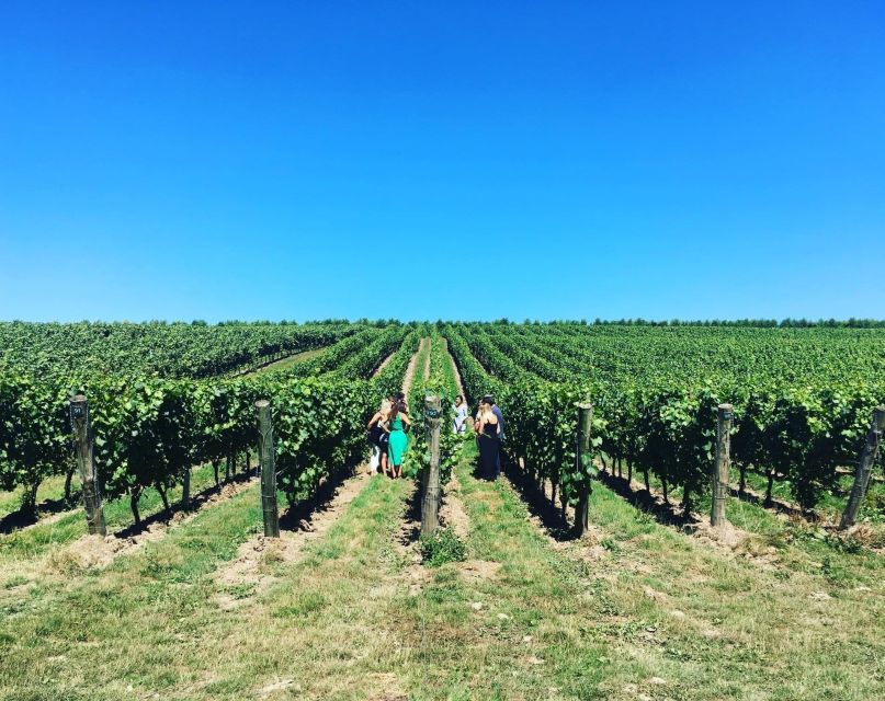 From London: Vintage Bus Wine Tour with Return Train Tickets - First Vineyard in Sussex: Guided Touring and Tutored Tastings