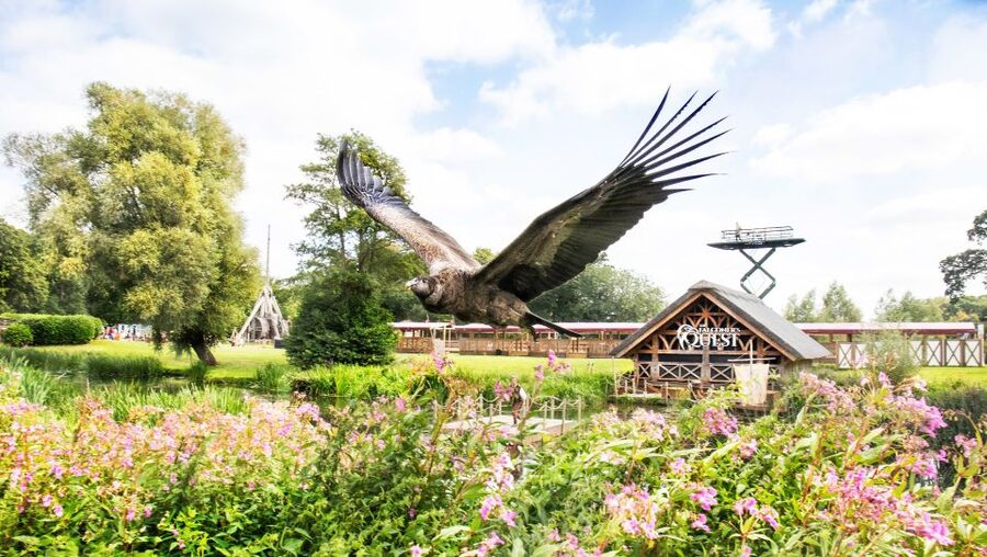From London: Warwick Castle Day Trip by Rail - Gardens That Reward a Slow Walk: Victorian Roses and Peacock Garden