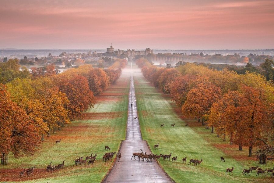 From London: Windsor Castle Royal Afternoon Sightseeing Tour - Price and value at $93: what you’re buying with this tour