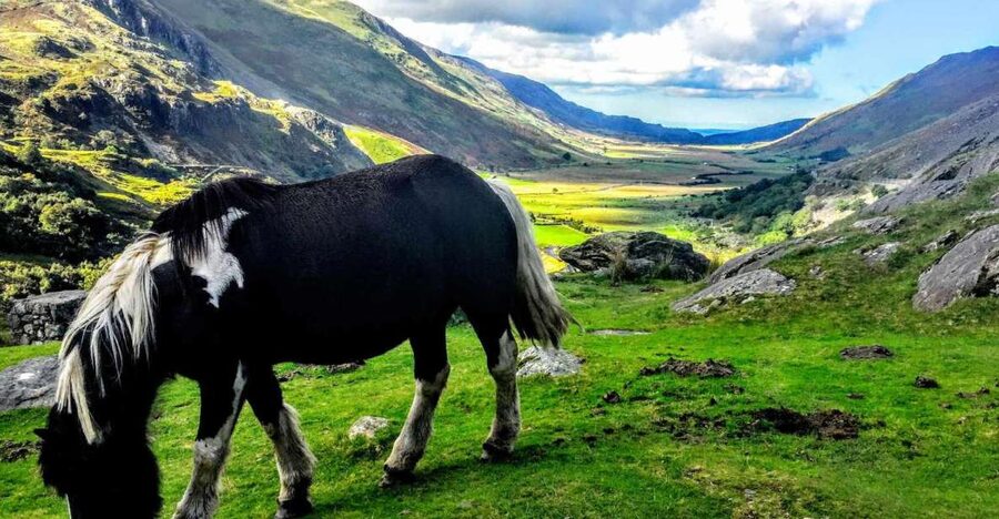 From Manchester: North Wales Sightseeing Adventure Day Trip - Logistics that affect your comfort (the stuff people forget)