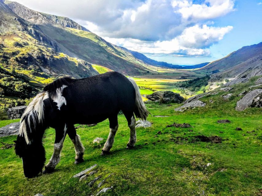 From Manchester: North Wales Sightseeing Adventure Day Trip - What the best guides actually do (and why it matters)