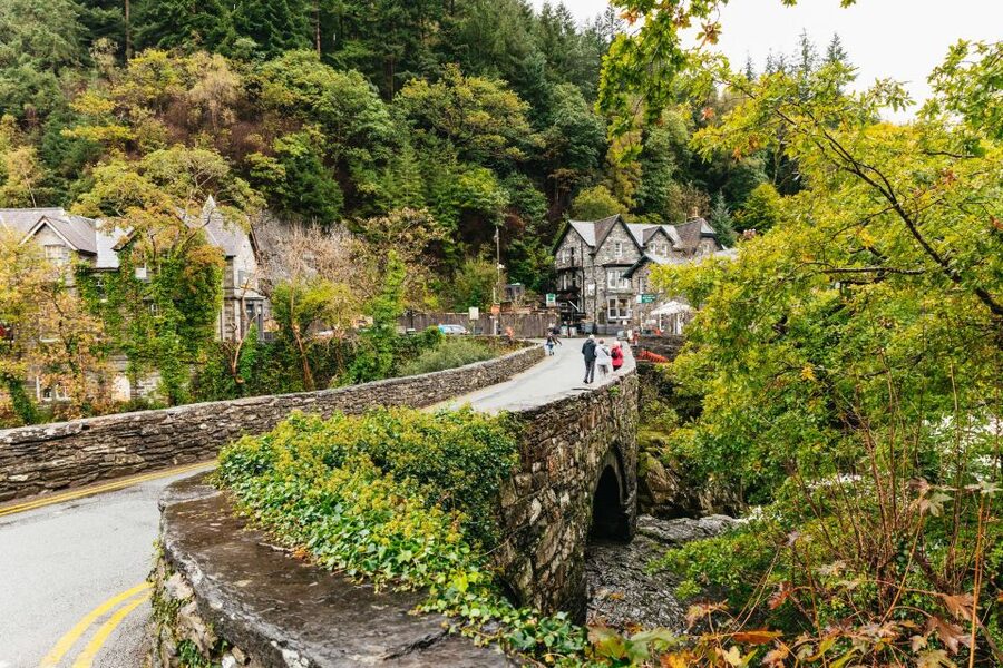 From Manchester: North Wales, Snowdonia, and Chester Tour - Conwy Harbour and Conwy Castle: Why This Shoreline Stop Is the Money Moment
