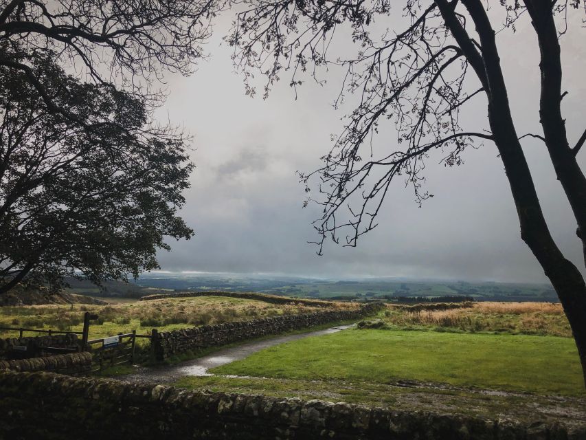 From Newcastle: Hadrian's Wall Day Tour - A small-group Roman frontier day from Newcastle