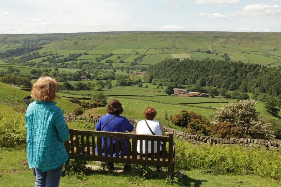 From York: Day Trip to Whitby and The North York Moors - Whitby on your terms, with West Cliff and the 199 steps choice