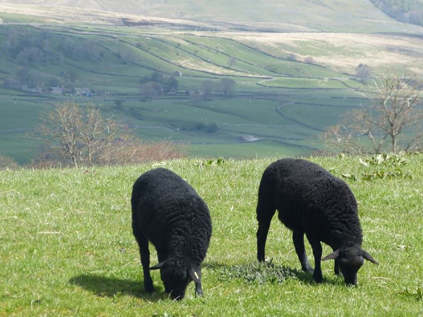 From York: Full-Day Yorkshire Dales Tour - Key things that make this Yorkshire Dales tour special