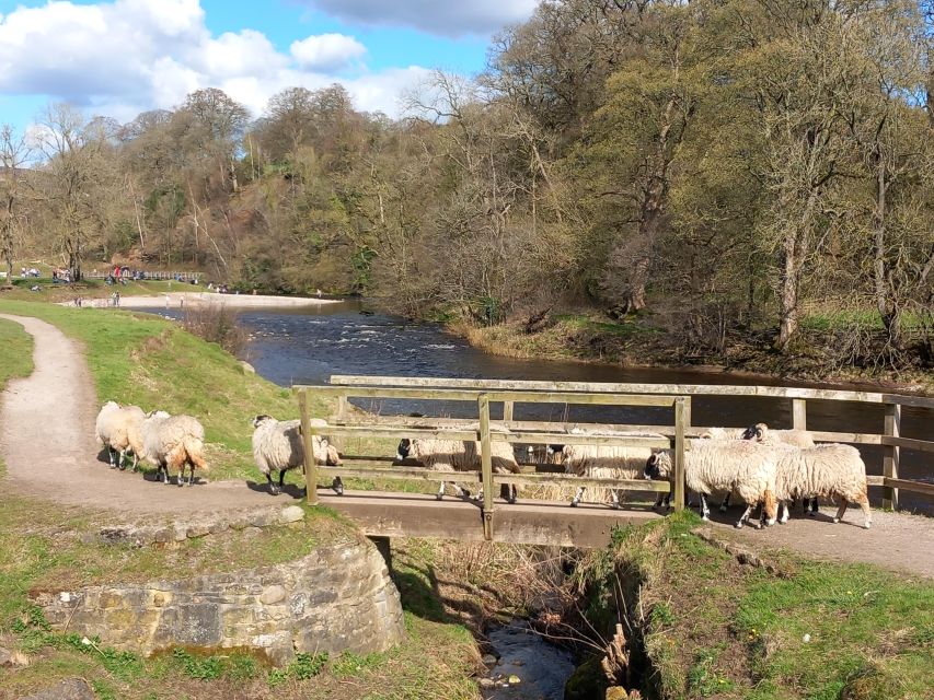 From York: Herriot and Yorkshire Dales Day Trip - Key things you will notice on this York to Yorkshire Dales day trip
