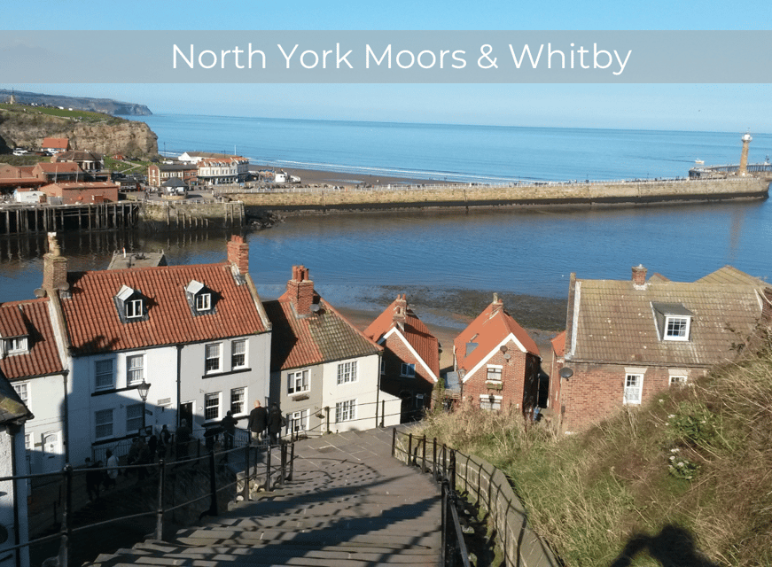 From York: North Moors and Whitby Tour - North York Moors roads, forests, and moorland viewpoints