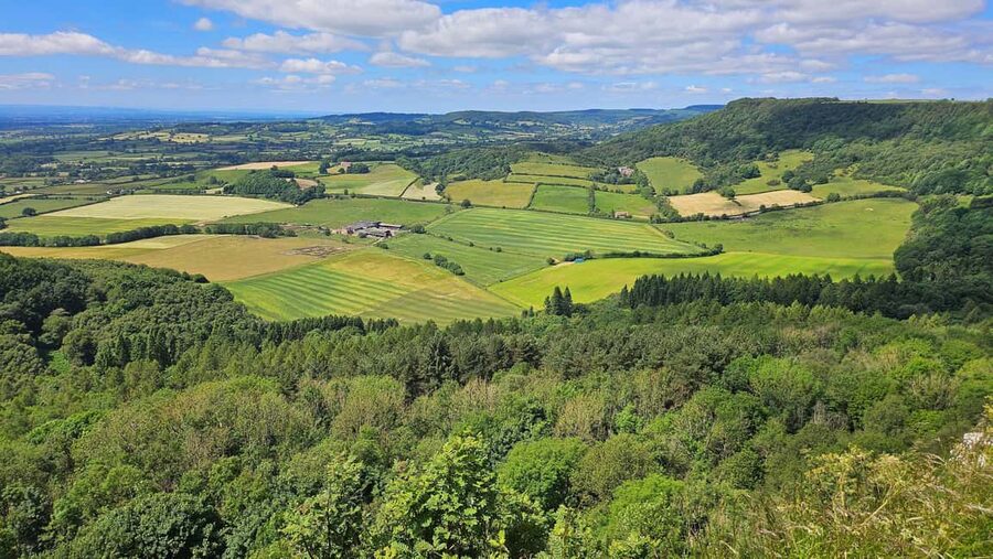 From York: North Yorkshire Moors, Whitby w/ Steam Train Ride - York to the Moors in a 7-Seater, Not a Big Bus