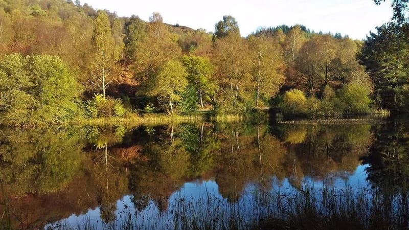 Glasgow Shore Excursion: - Loch Lomond - Stirling Castle - Price and Value: What $82 Gets You on a Full Day Shore Excursion