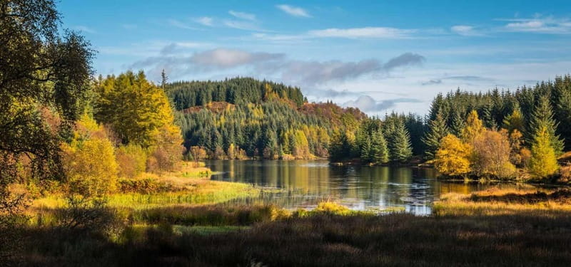 Greenock: Loch Lomond, Trossachs & Stirling Castle Tour - The Greenock to Stirling route that actually feels like a day