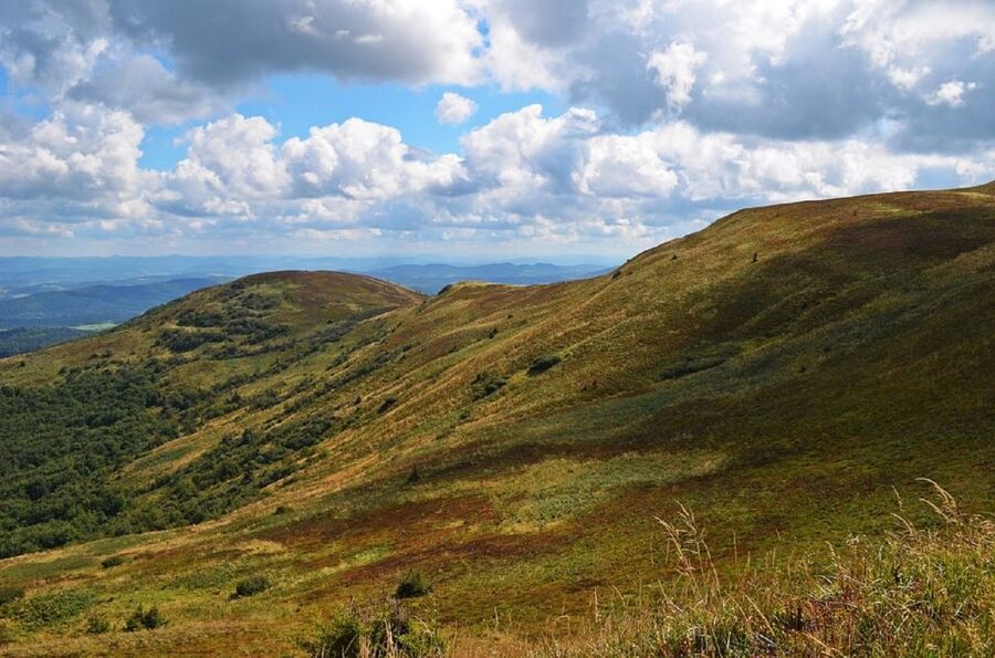 Greenock: Shore Excursion to Stirling Castle and Loch Lomond - The real star is the stories, from Wallace to Rob Roy