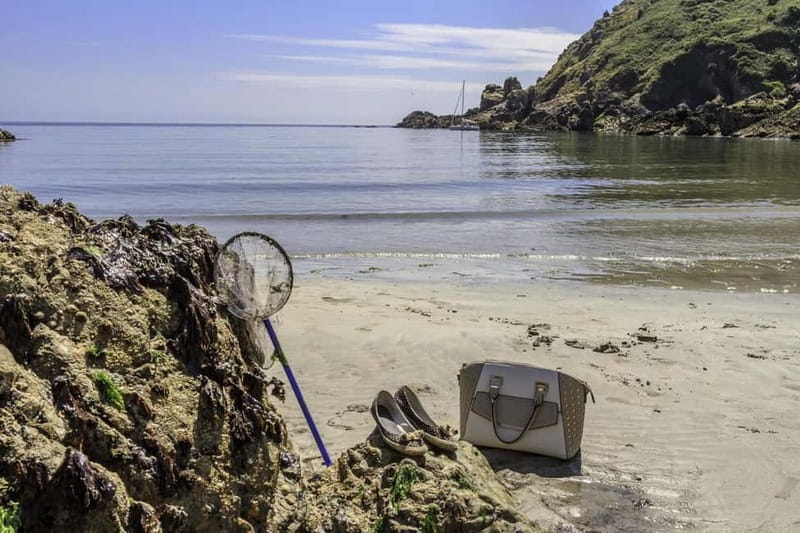Guernsey: Half-Day Island Shore Excursion Tour - Meeting at St Peter Port, and how to avoid early-day stress