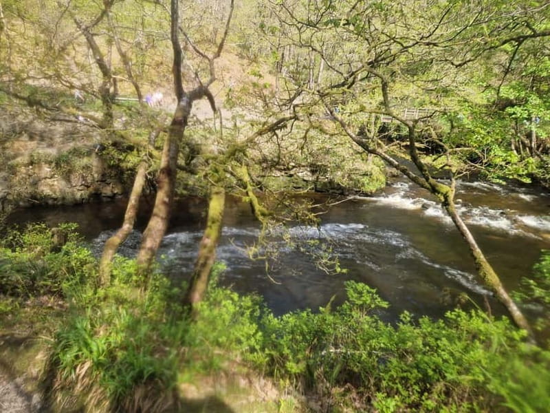Guided Breacon Beacons 4 waterfalls in day hike from Cardiff - Craig Gwladys Country Park and The Angel Inn: scenic pauses that break up the day