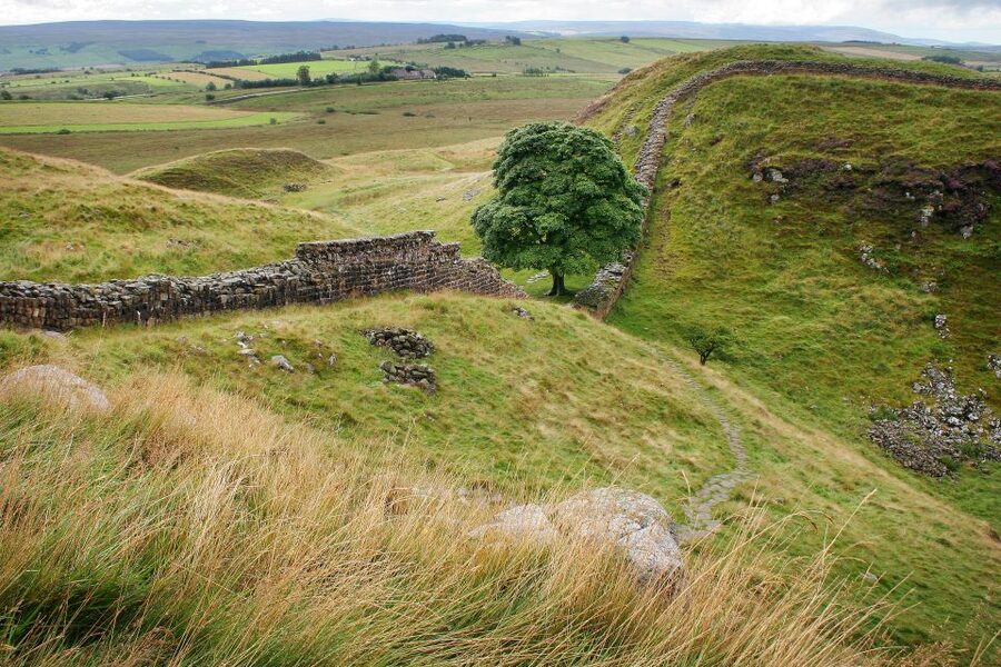 Hadrian's Wall: 4.5-Hour Guided Tour - Price and value: is $74 a good deal?