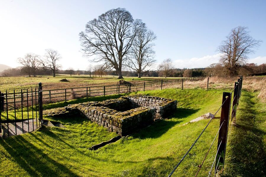 Hadrian's Wall: Chesters Roman Fort and Museum Entry Ticket - Chesters Roman Fort and Museum: Why This Stop Works So Well