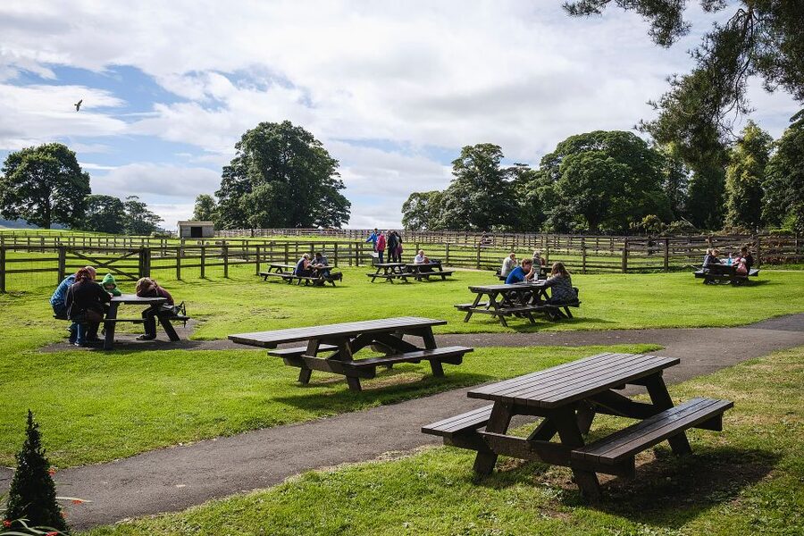 Hadrian's Wall: Chesters Roman Fort and Museum Entry Ticket - Digital Reconstructions: Barracks Rooms and Cavalry Life With Horses