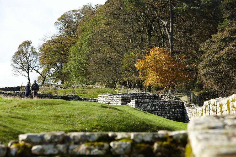 Hadrian's Wall: Housesteads Roman Fort Entry Ticket - The museum and mini-cinema, when film helps your brain