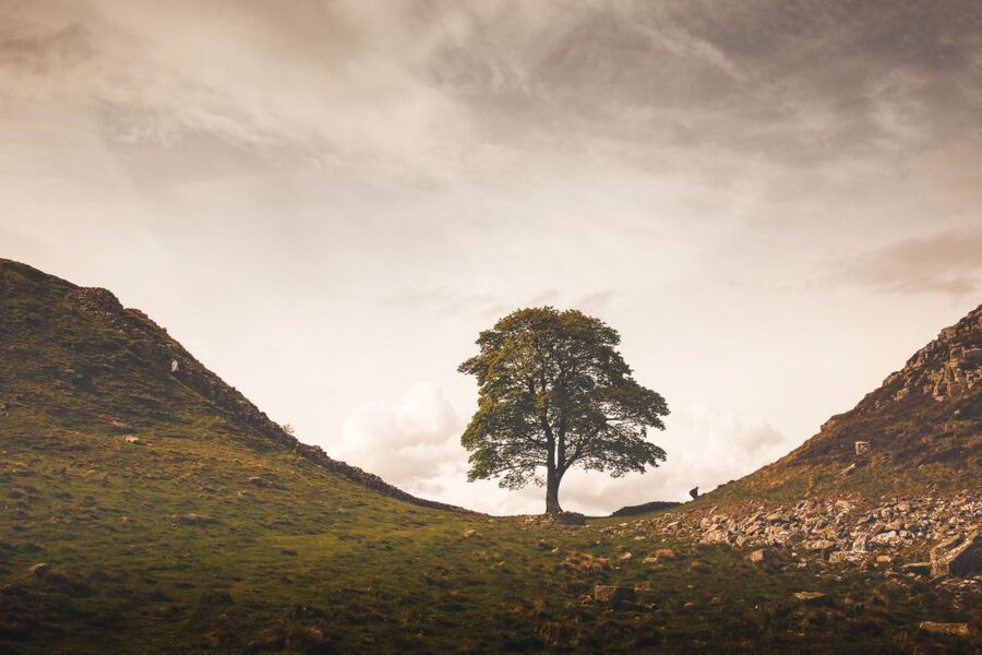 Hadrian's Wall & Roman Britain 1-Day Tour from Edinburgh - Carter Bar on the Cheviot Hills, a border crossing with a long memory