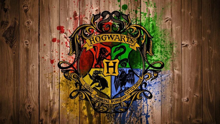 Harry Potter Private Tour of London in Spanish - Small Downsides to Watch For Before You Book