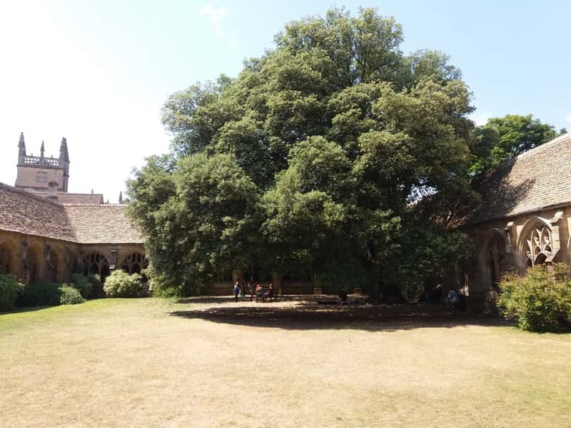 Harry Potter Tour New College Private Group Tour - New College cloisters, Malfoy, and the film moments that matter