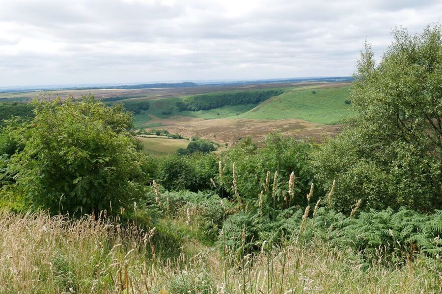 Heartbeat TV Locations Tour of Yorkshire - Who this tour is best for (and who might feel restless)