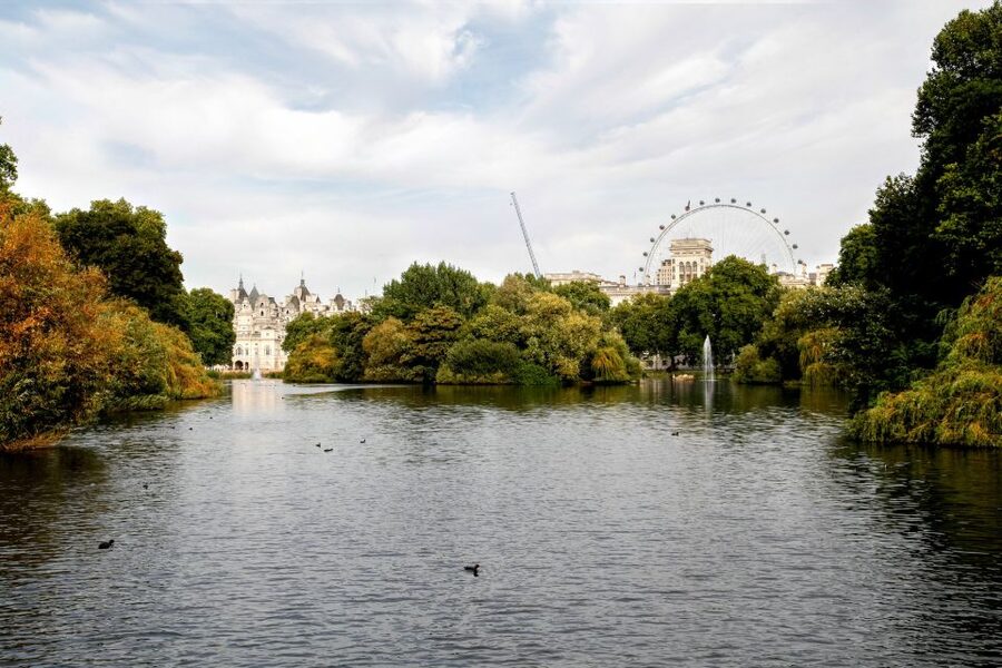 Highlights of Royal London Bike Tour (3 Hours) - Comfortable cruiser bikes and a pace that fits real life
