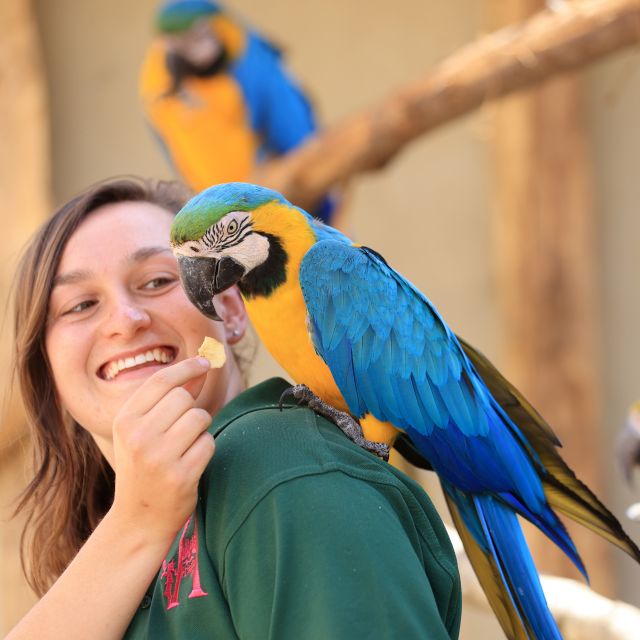 Hobbledown Heath One-Day Entry Ticket - Animal Enclosures: Falcons, Lemurs, Ponies, and More