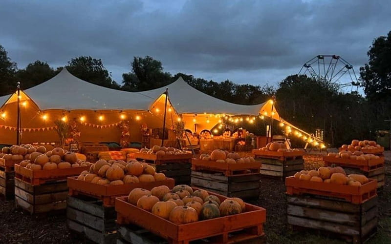 Hounslow: Pumpkin Patch Plus Entry to Hobbledown Heath - Key highlights at a glance