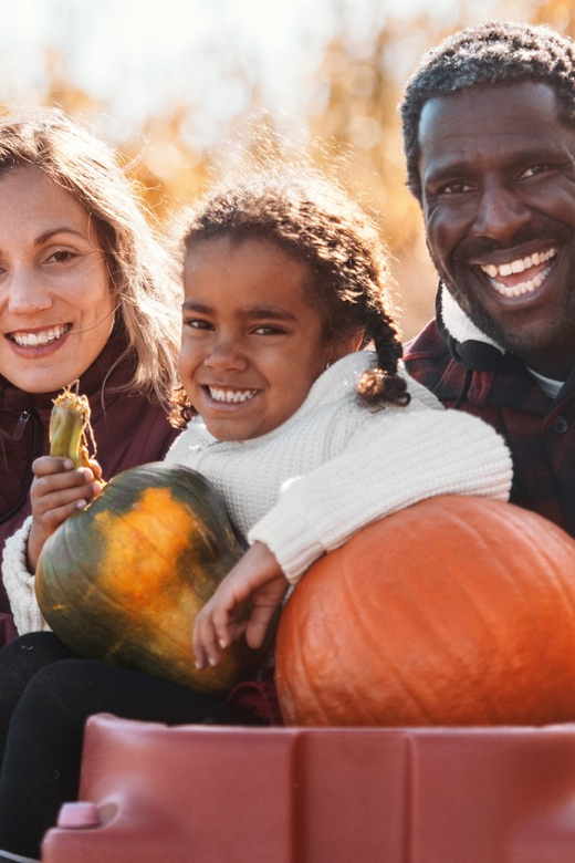 Hounslow: Pumpkin Patch Plus Entry to Hobbledown Heath - Should you book this Hounslow Pumpkin Patch Plus Entry?