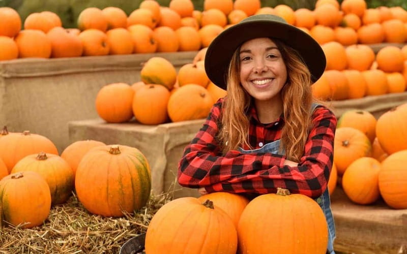 Hounslow: Pumpkin Patch Plus Entry to Hobbledown Heath - Animals are a big part of the attraction