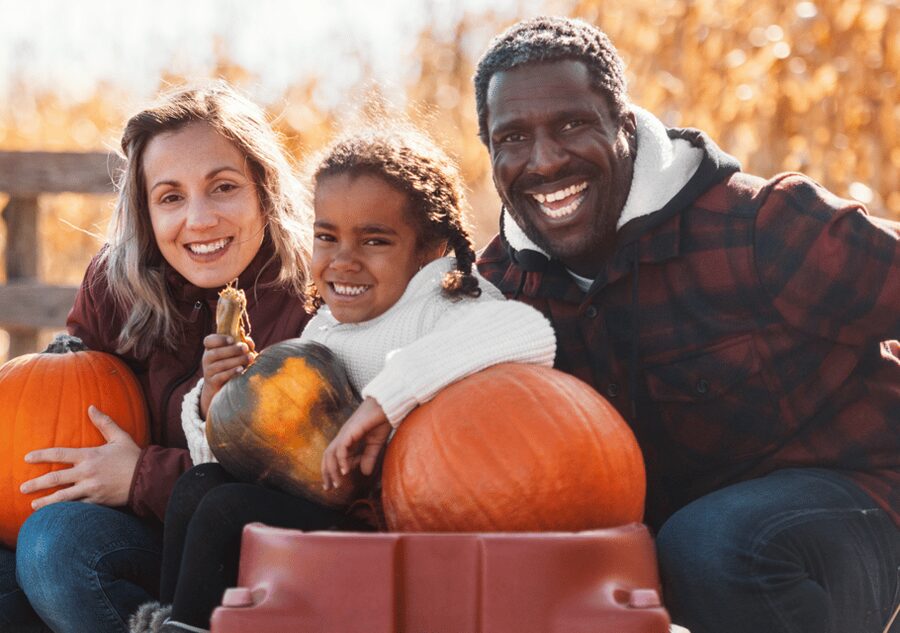 Hounslow: Pumpkin Patch Plus Entry to Hobbledown Heath - Pumpkin Patch Plus entry, pick your own pumpkin