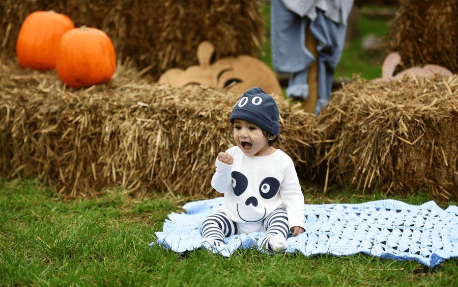 Hounslow: Pumpkin Patch Plus Entry to Hobbledown Heath - Towers, tunnels, and the indoor play plan for every weather