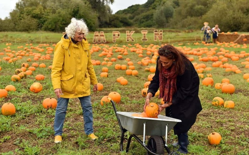 Hounslow: Pumpkin Patch Plus Entry to Hobbledown Heath - Costs and value: where your total can change