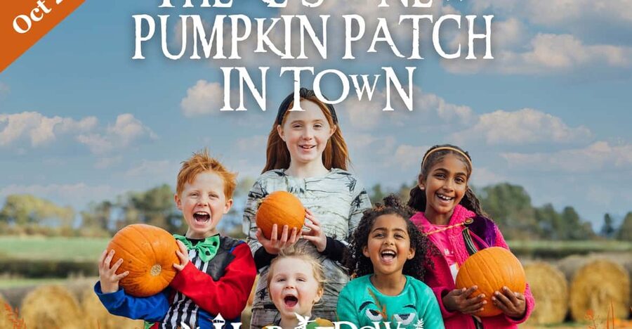 Hounslow: Pumpkin Patch Plus Entry to Hobbledown Heath - Practical planning: how to pace a full day