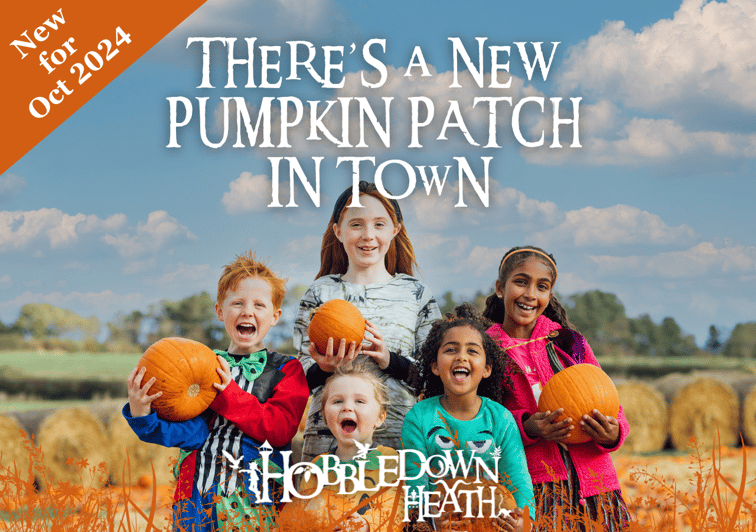 Hounslow: Pumpkin Patch Plus Entry to Hobbledown Heath - Who this is best for